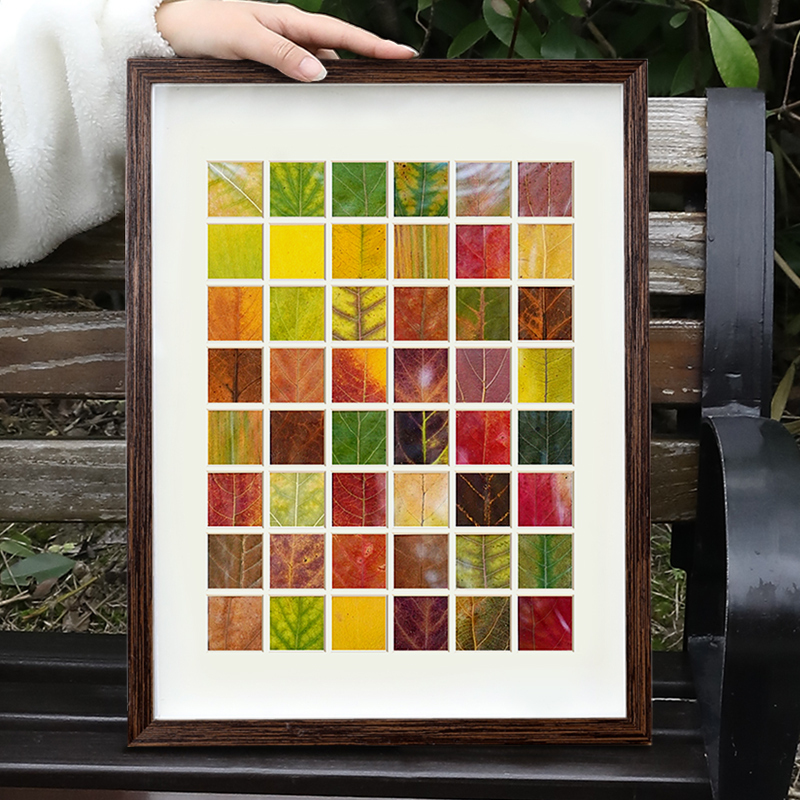 ✅ Fall Leaf Photo Frame with 48 Slots for Leaf Specimens, DIY Autumn Leaf Collection, 36-Grid Autumn Leaf Frame, Handmade Leaf Art Frame