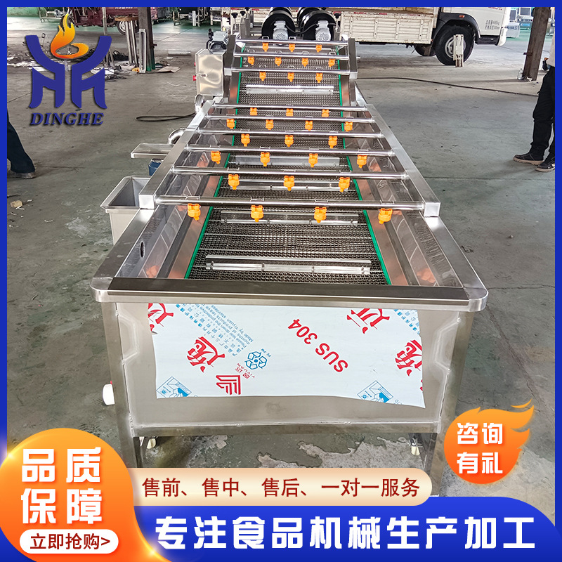 不锈钢果蔬气泡清洗机 商用喷淋蓝莓清洗设备 气泡清洗流水线