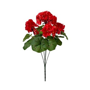 �羳���컨���Ļ���Ƭ30����Y��Y�zӰ���ÿ������Ҿӑ���ͥԺ�b