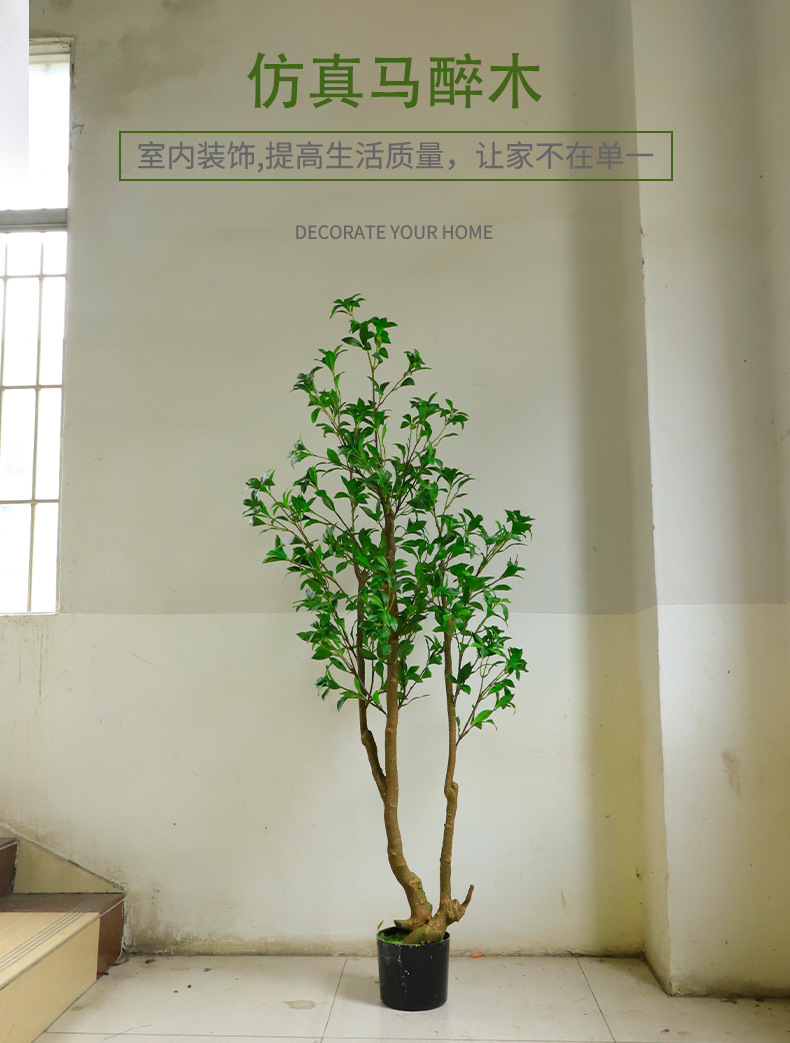 马醉木_01.jpg