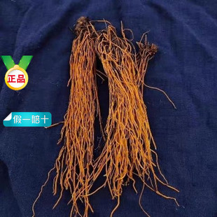 ��ș�� �Rβ�B �Rβɏ �Rβ�S ���Sɏ ���ɲ� ��z�S�B 500��