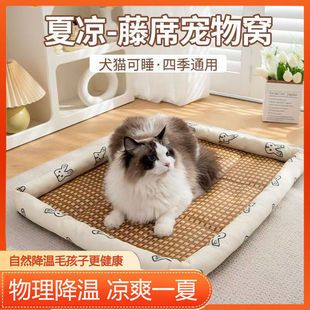 �����ļ����|С؈�C�پ���ϯС���|��̩�ϛ�ϯ�C���C؈�C���ش��|