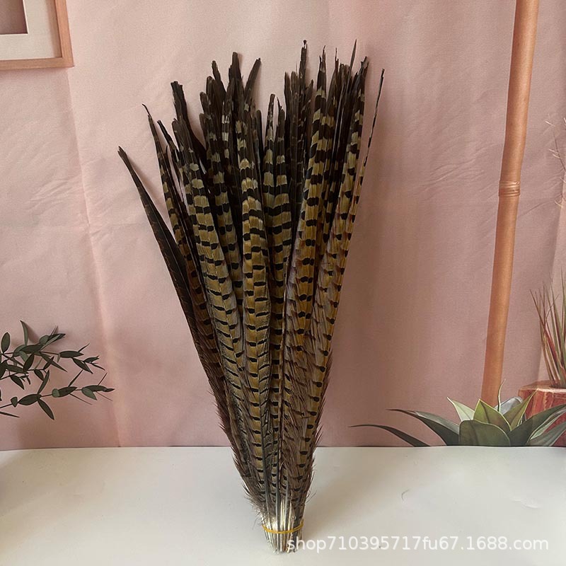 Fábrica al por mayor pelo de faisán 10-90cm cola de faisán pluma de bricolaje danza plumas de faisán cola de gallina palo de gato divertido image 4