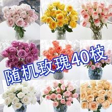 鲜花云南昆明玫瑰花束基地直发百合向日葵直批家用水养瓶插花工厂