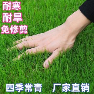 ��ƺ�����o�¹����ļ���������ݷN���ͺ��ͺ��G�����̹���������