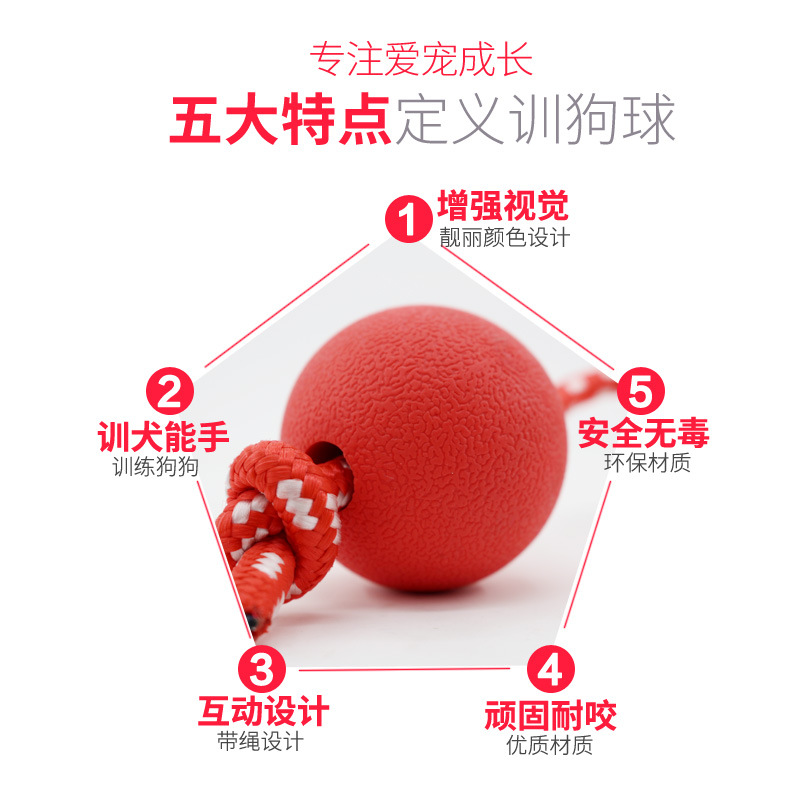 개 장난감 물림 방지 고무 단단한 탄성 공 골든 리트리버 개 중형 및 대형 개 훈련 어금니 애완 동물 용품 공