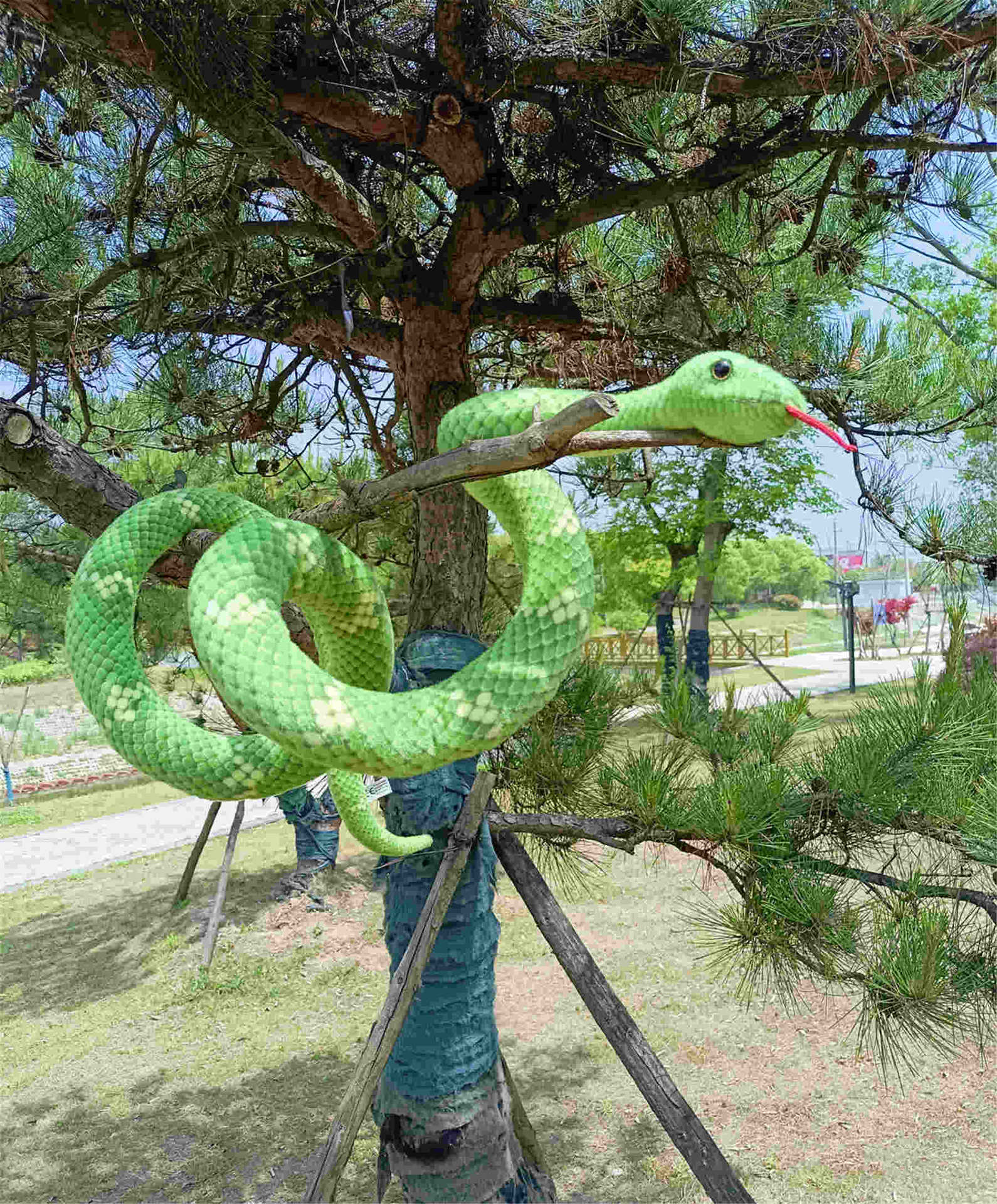 24-z-主图 (22).jpg