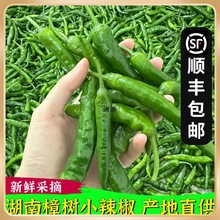 drrСFժ5ﱡƤཷrҮa߲