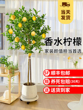 ˮʘԎʳÿ͏dGֲֲ̨҃༾_l