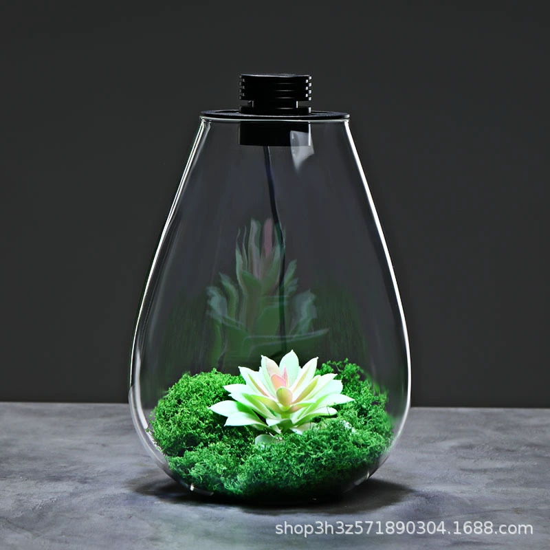 Коллекция ручной работы изогнутый путь через тихую экологическую бутылку столешница микро-пейзаж капельки воды стеклянная бутылка светодиодная лампа освещения бутылки стеклянная крышка