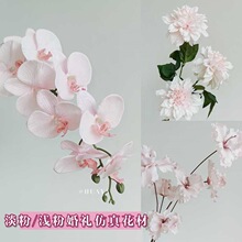 ���ۜ\��ɫ��Y���Ļ�c�����bƵ�KT������m��õ�廨����ĵ��