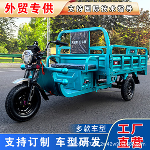 電動三輪車家用拉貨載貨農用貨車大功率電瓶車載重王代步車貨運車