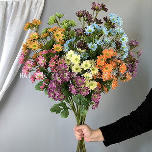 5��3D�z��С�r�� �羳���QС�ջ���˹����ʾտ͏d�����bٻ�