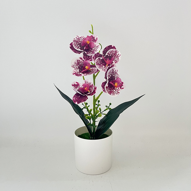 점박이 보라색 (높이 31*가로 17cm)