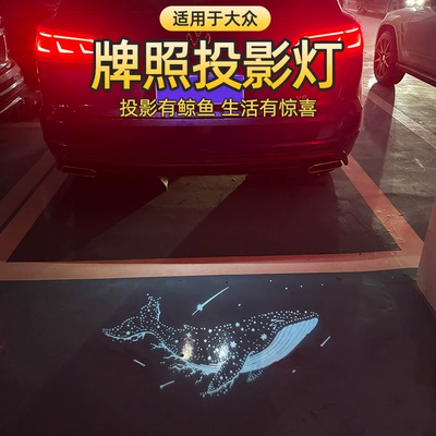 Lingdu, T-Roc, Tayron, Tiguan, Teramont, License plate lamp - 12-25-models-of-sagitar-license-plate-light-single-whale
