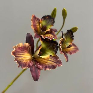 3D�����m ���滨�Ҿ��b�����յ��߻�c���������ٻ����������m