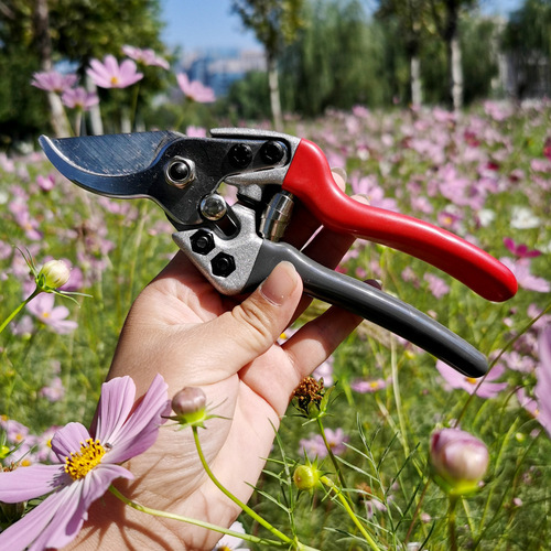 Garden agricultural tools fruit branch shears gray and red two-color V1 labor-saving branch pruning scissors SK5 blade shears pruning shears
