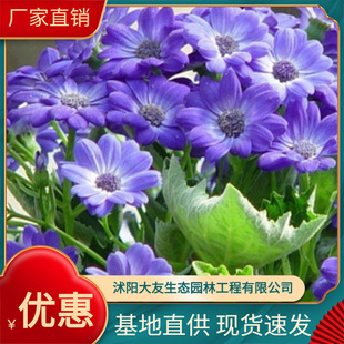���l���~�� �󻨹��~�� �ջ� ���������޸�����