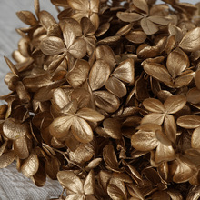 yɫϵĸɻr}Q˹YֹDIY