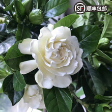 �����ذ��С�~ĵ���d�ӻ�������ͥԺ�������pɫ�������ļ����B