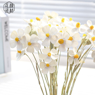 ����Y�ĸɻ����l���_�m����ins�ҾӔ[���滨������diy�廨����