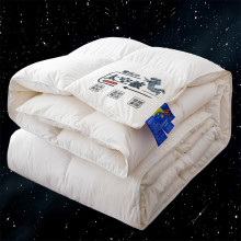 新款加厚A类气凝胶太空被抗菌防螨加厚冬被芯单双人春秋冬被批发