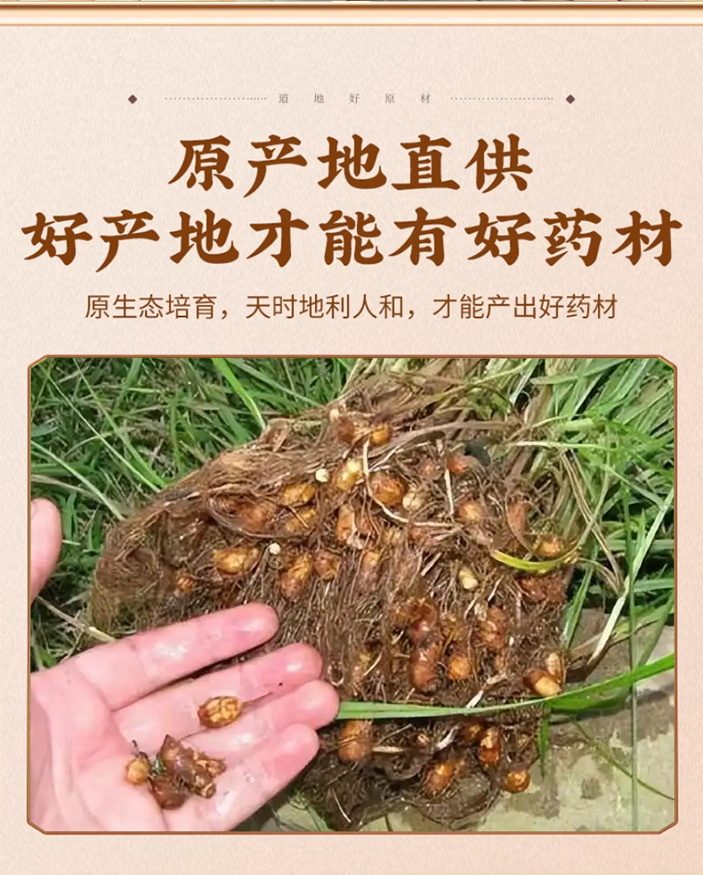 Xiang Fu Cyperus Rhizome Slices Dried Xiang Fu Zi Traditional TCM Herb 500g Bag key features
