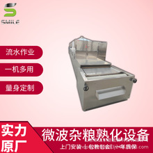 网红核桃仁干果微波灭菌杀虫设备坚果微波熟化设备核桃仁熟化设备