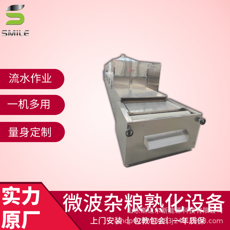 网红核桃仁干果微波灭菌杀虫设备坚果微波熟化设备核桃仁熟化设备