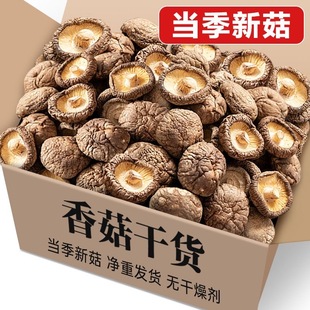 �㹽��؛���l���㹽���l�r���X��С���鹽�ɶ�����Ģ�����]