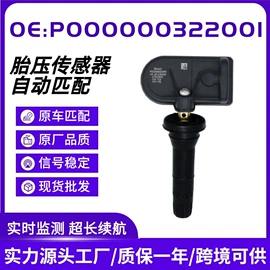 胎压监测系统;气门嘴;诊断仪