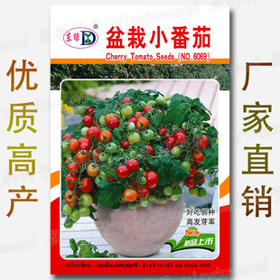 СѷN rˈ@̨tСA߲ l