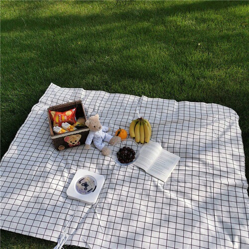 Picnic blanket style outdoor spring outing excursion camping picnic mat dormitory desk photography background cloth