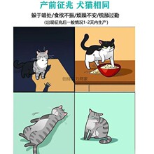 宠物狗狗猫咪脐带剪刀吸羊水器怀孕生产接生待产包用品工具全套