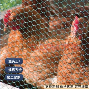 PVC�T�����ǾW�����Q�����Q���W�����F�z�W�Ҿ��b���\���ǾW