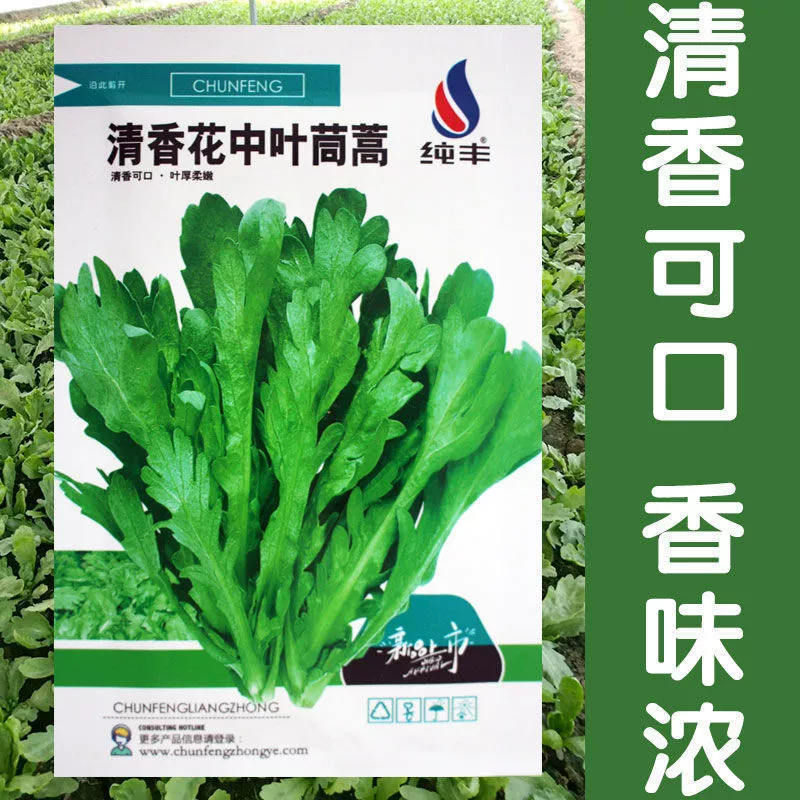 Семена ароматных цветов хризантемы Emperor's, овощные семена для весны, лета, осени и зимы, горшечные семена вечнозеленых овощей для балкона.