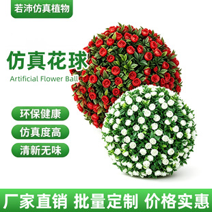 �羳����ֲ�ﻨ������̈��Ƶ�Ҿӵ���b����ϑҒ����õ�廨��