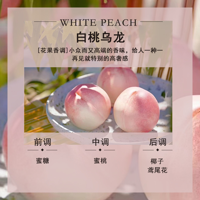 흰 복숭아 우롱 차 (봄과 여름에 뜨거운)