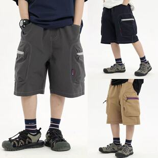 ��ͯ��ѝ2026�ļ���ϵ�¿ͯ�ٴ��ڴ����ѝ��ͯ���⹤�bѝ��