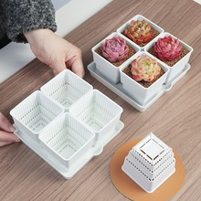 美莳多肉控根花盆四方组合透气塑料花架小白方带底座托盘小号