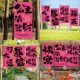 Princess Please Make a Fortune Pink Hanging Cloth Female Goddess Festival Festive Atmosphere Layout Background Wall Cloth Decorative Cloth