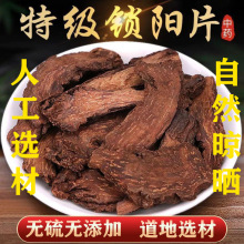 ișĽiƬ500 iƬiƬˮișƬ