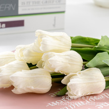 �¿� PU������  �ָб���ٻ� ��c�Ɍ��Ӽ��b��羳���Q����