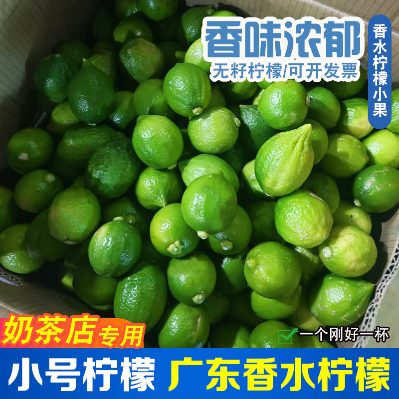 广东香水柠檬无籽手打柠檬茶专用奶茶店商用青柠水果鲜果新鲜现摘