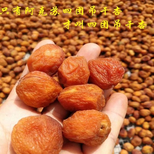 Xinjiang Si Tuan hanging dried apricots 500g naturally dried vacuum packaging tree dried apricots snacks wholesale dried fruits