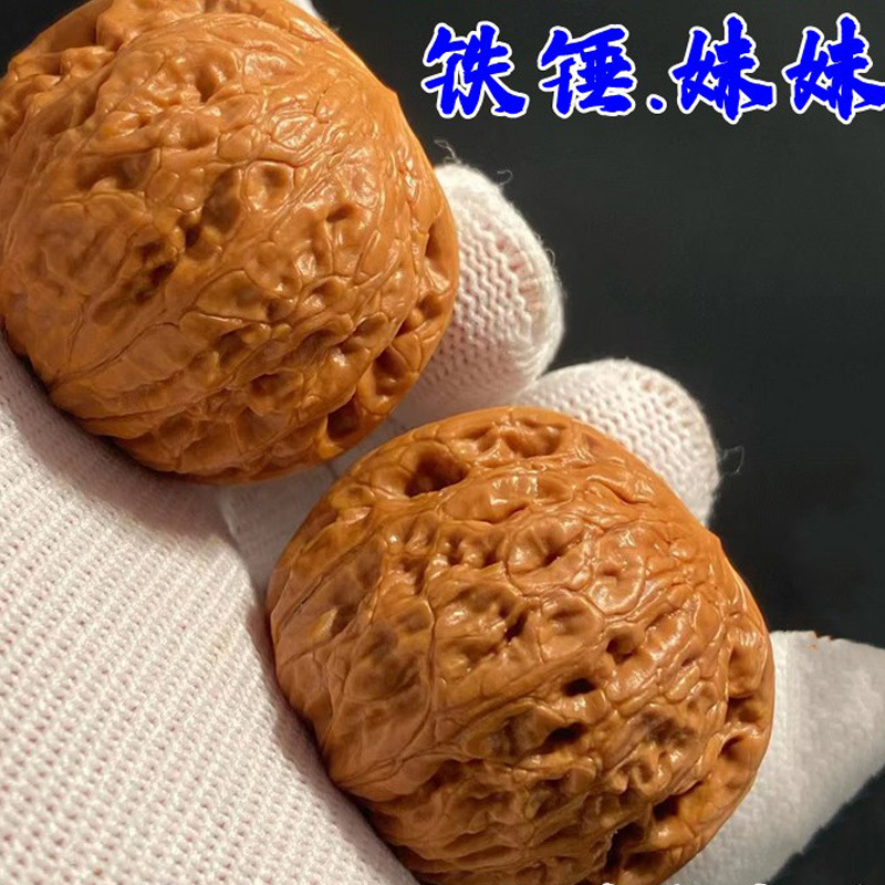 矮桩肉球铁锤妹妹文玩核桃树苗血麒麟狮子头麻核桃苗南方北方种植