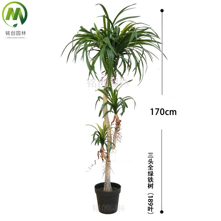 170cm3 cabeza de árbol de hierro