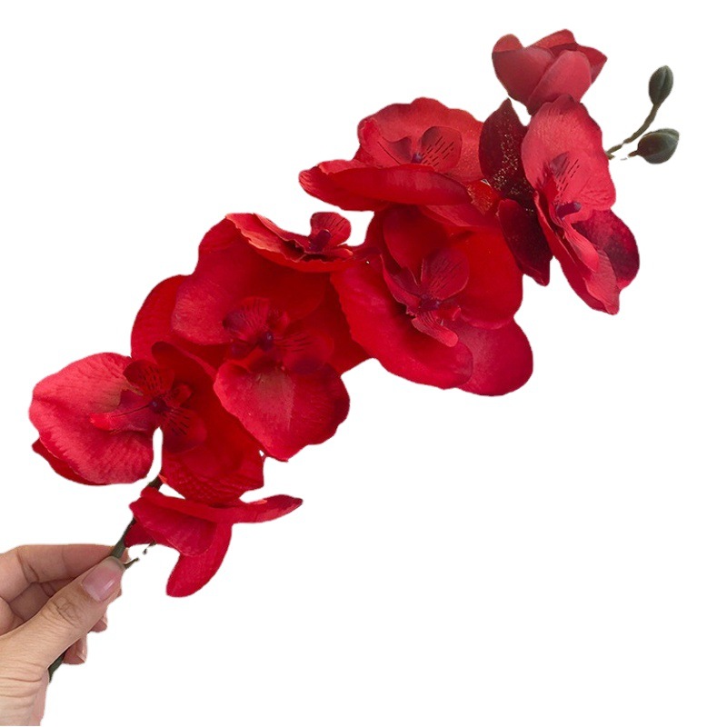 Venta al por mayor suministros de decoración de boda sala de estar dormitorio sala de estar cortina colgante creativo romántico Red rojo cortina Correa ramo