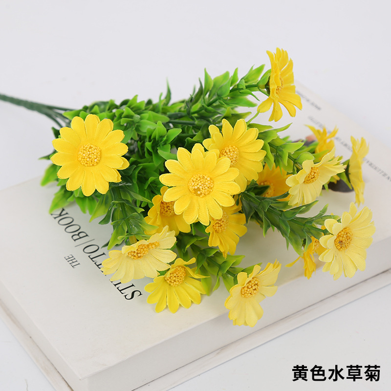 Crisantemo acuático amarillo