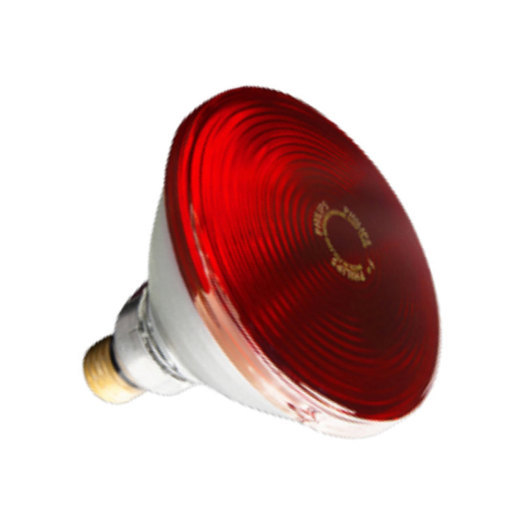 微信图片_20210804162430